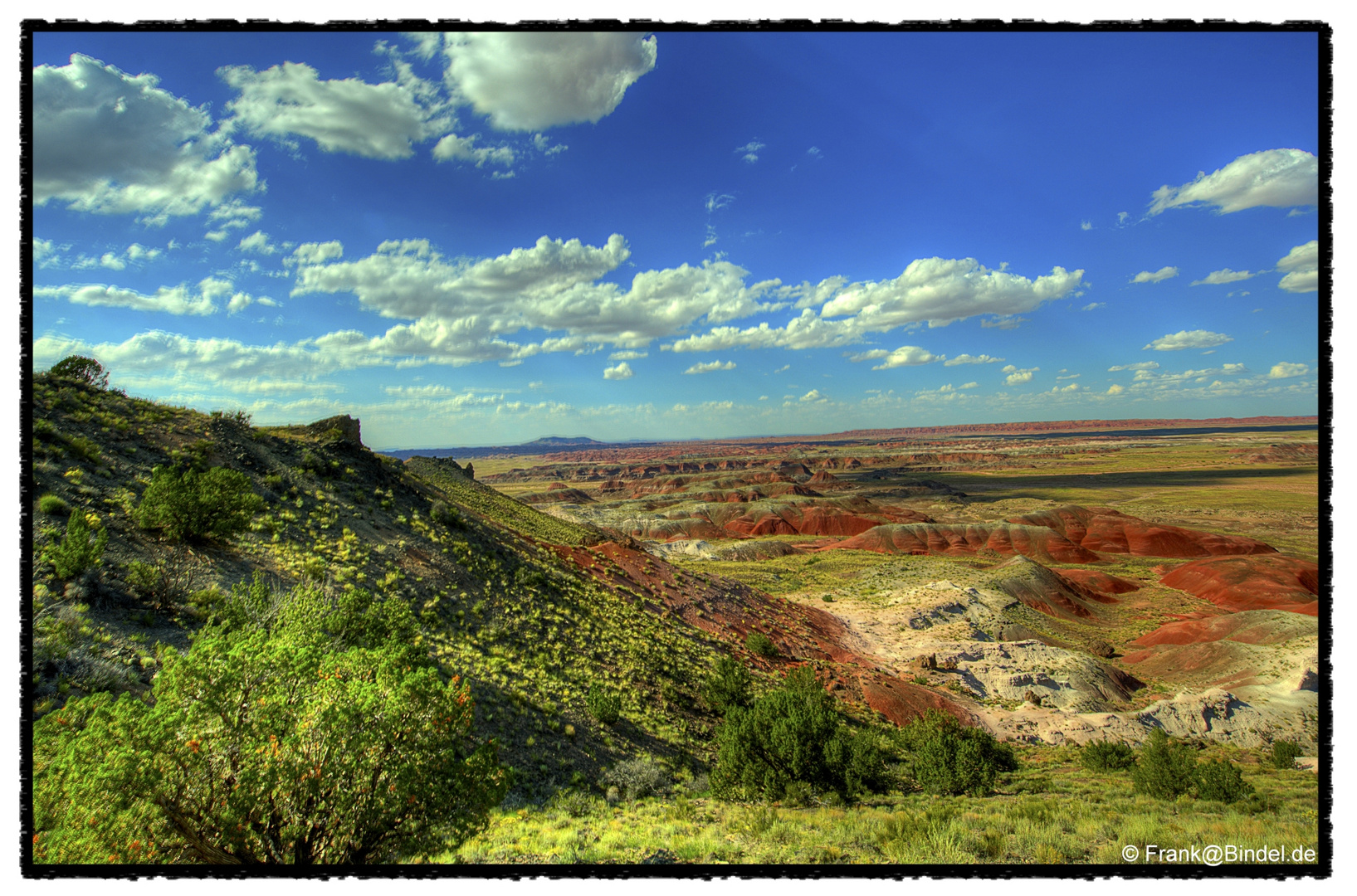 Petrified Forest NP 003