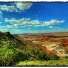 Petrified Forest NP 003