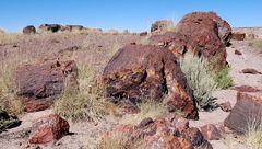 Petrified Forest NP - 1