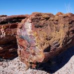 Petrified Forest NP