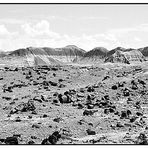 Petrified Forest N.P. - Arizona, USA