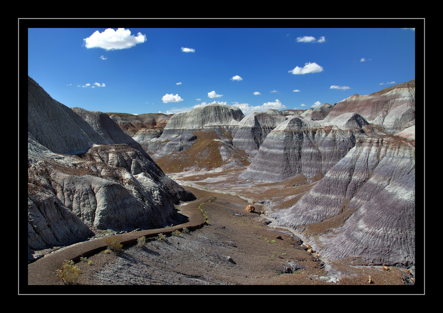 Petrified Forest - Oktober 2010