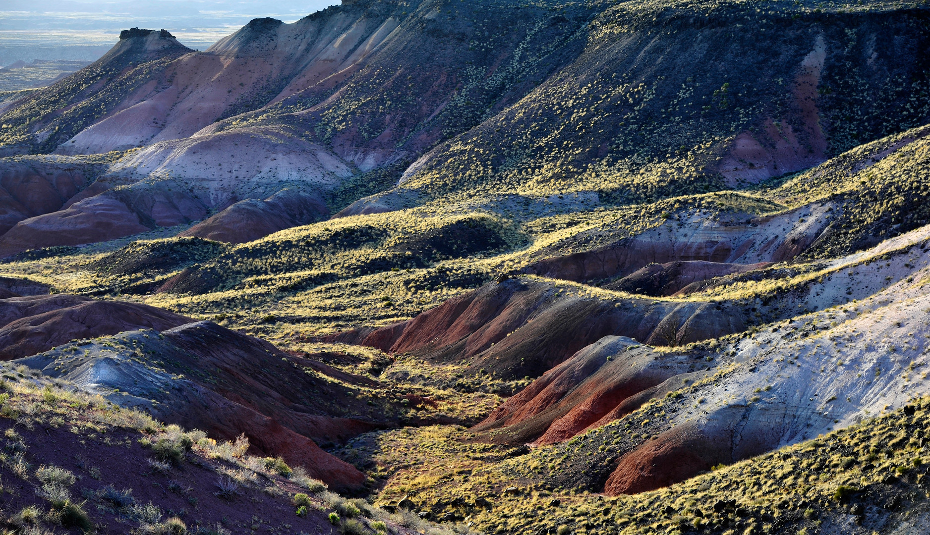 Petrified Forest-Park, USA