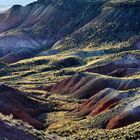 Petrified Forest-Park, USA