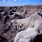 petrified forest1