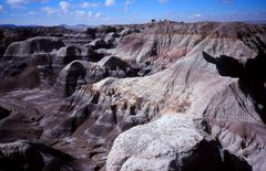 petrified forest1