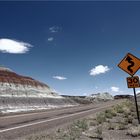 Petrified Forrest 2