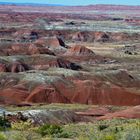 Petrified Forrest View