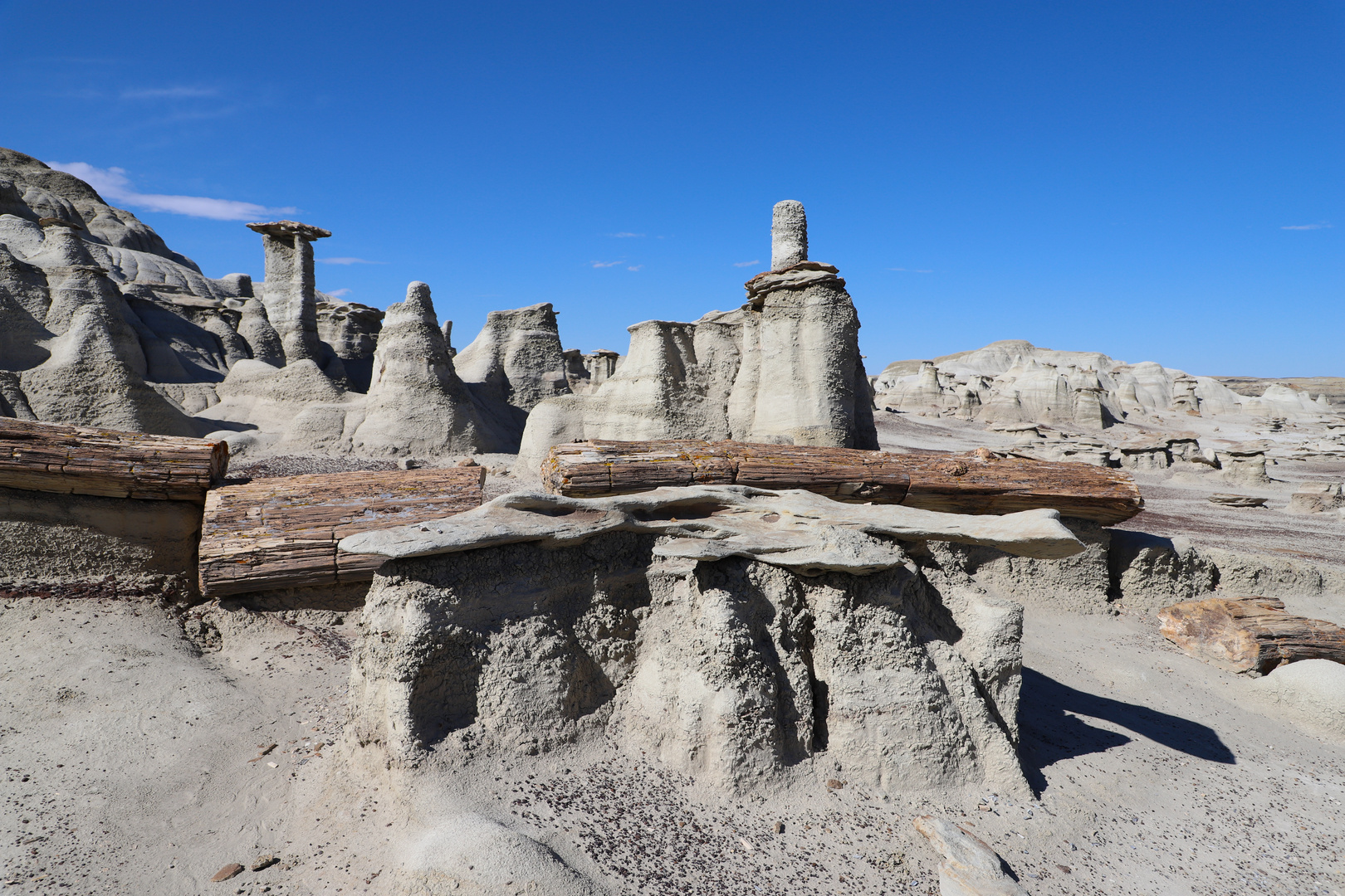 Petrified Wood in de´n Bisti Badlands