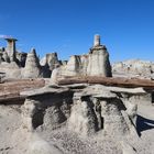 Petrified Wood in de´n Bisti Badlands