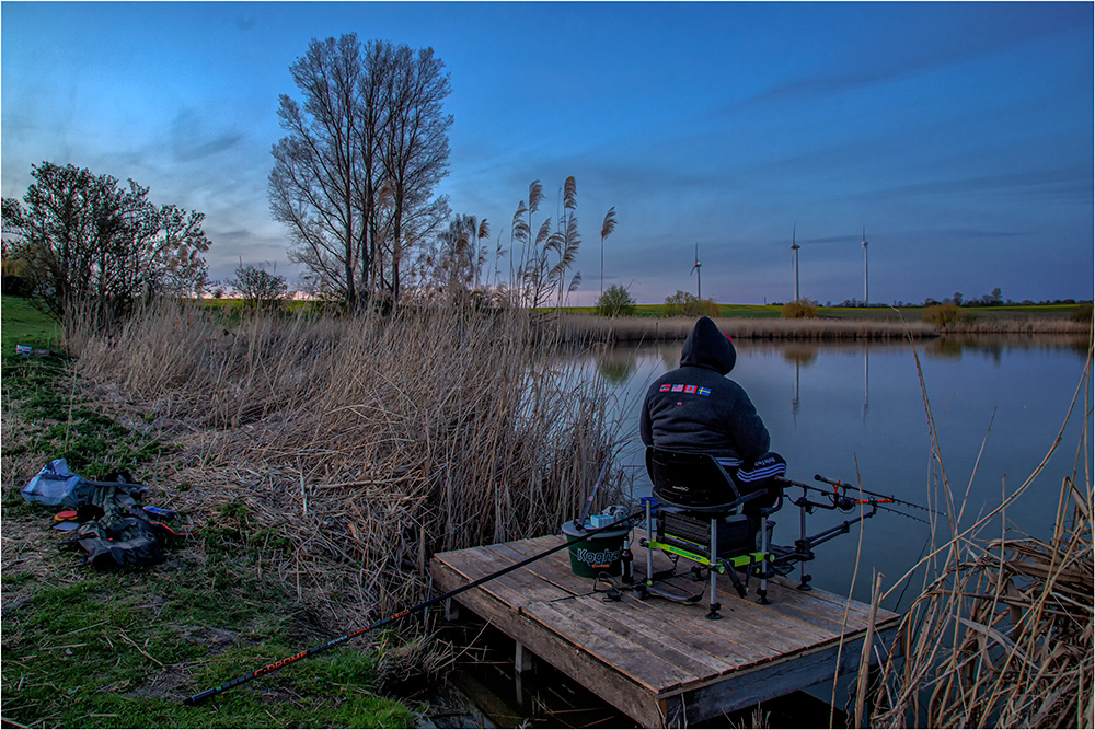 Petrijünger am Kreuzteich in Löderburg