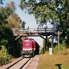 Petriroda die alte Holzbrücke