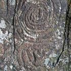 Petroglyphen (1)