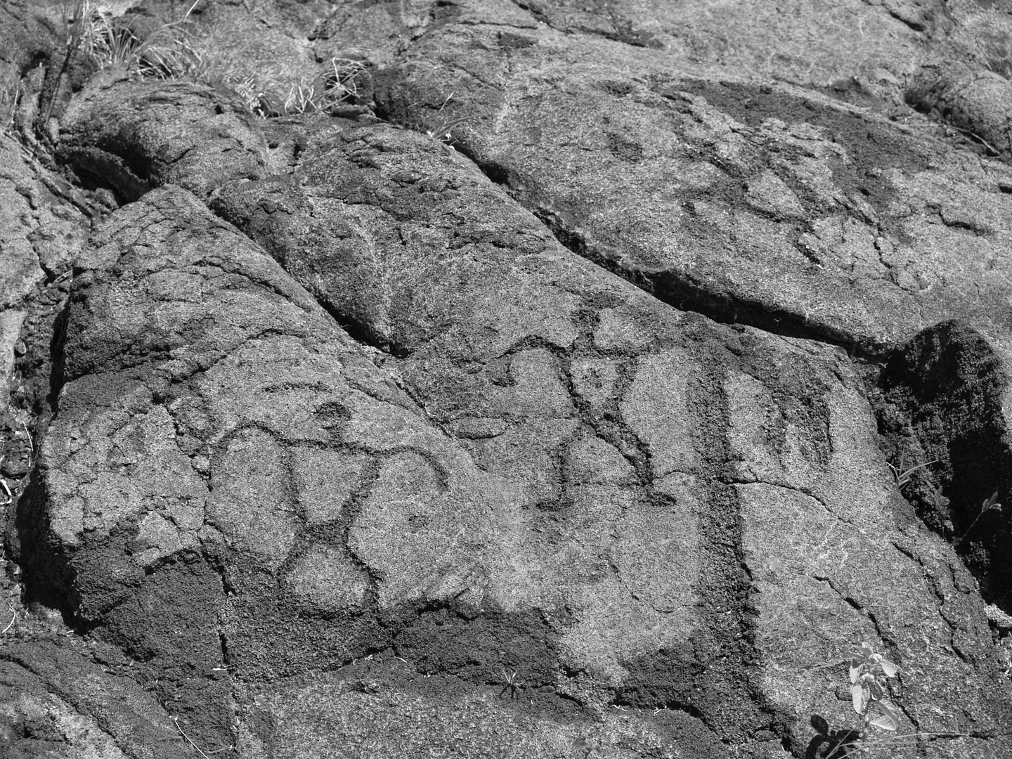 Petroglyphen