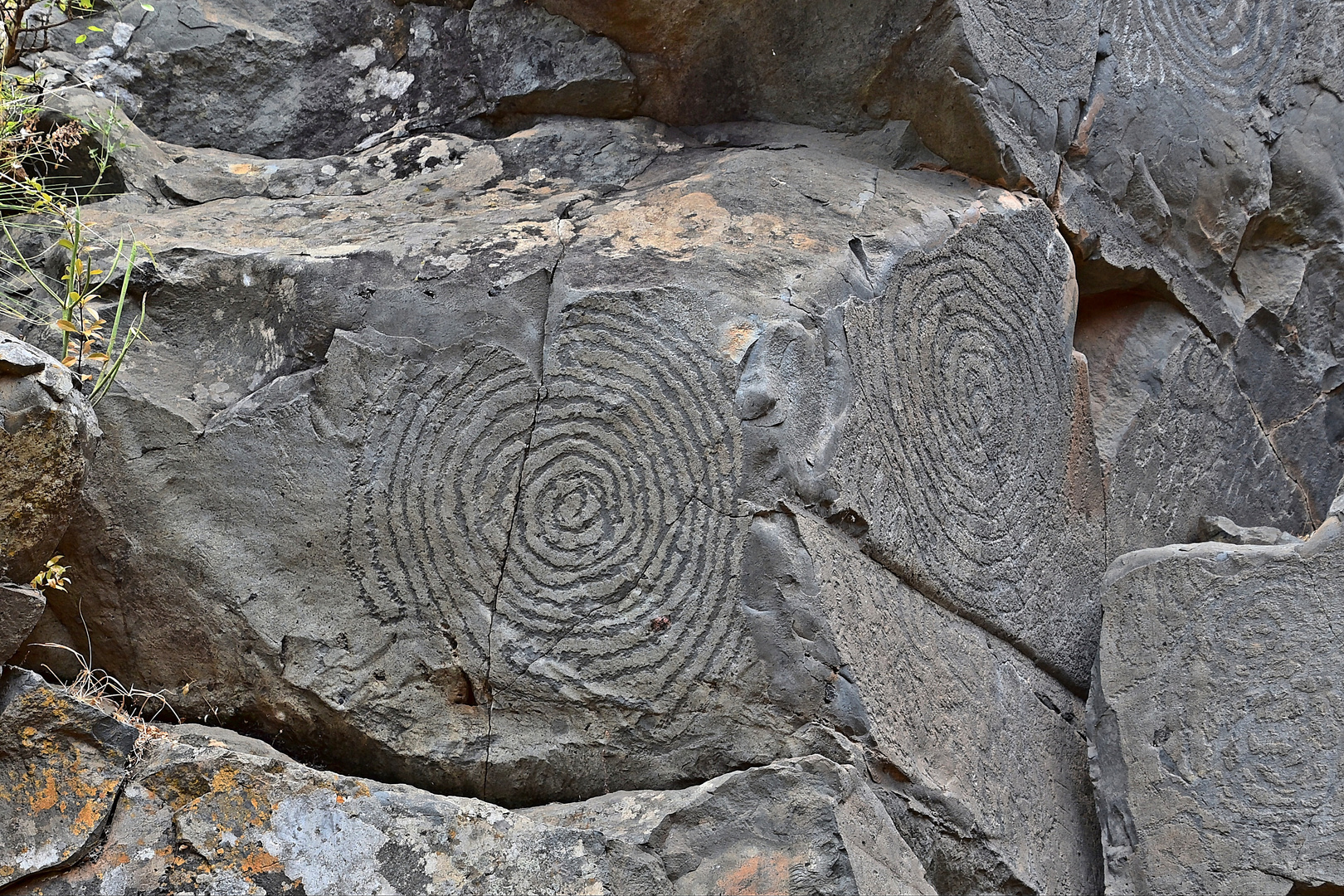 Petroglyphen in El Paso / La Palma