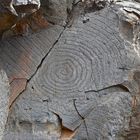 Petroglyphen in El Paso / La Palma