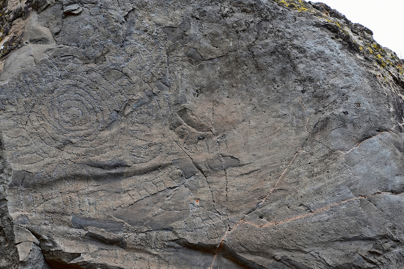 Petroglyphen in El Paso / La Palma