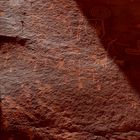 petroglyphes