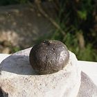 petrol ball in Sardinian beach