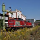 Petroleum P8 beim Wasser fassen