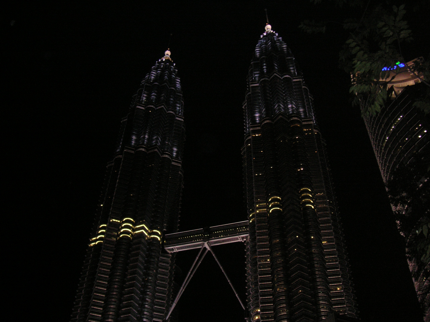 Petronas Towers at night