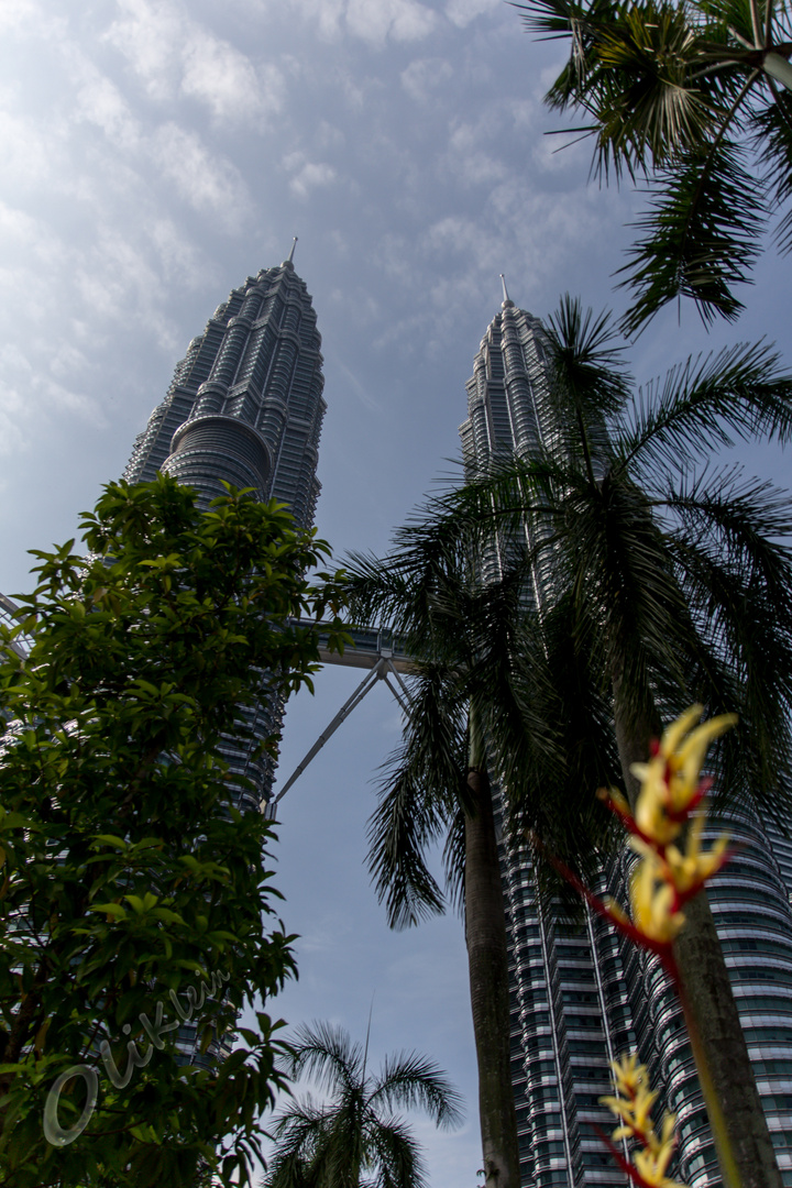 Petronas Towers in the Green