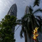 Petronas Towers in the Green