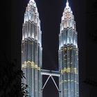 Petronas Twin Tower