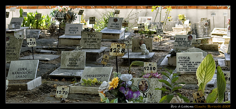 Pets Cemetery