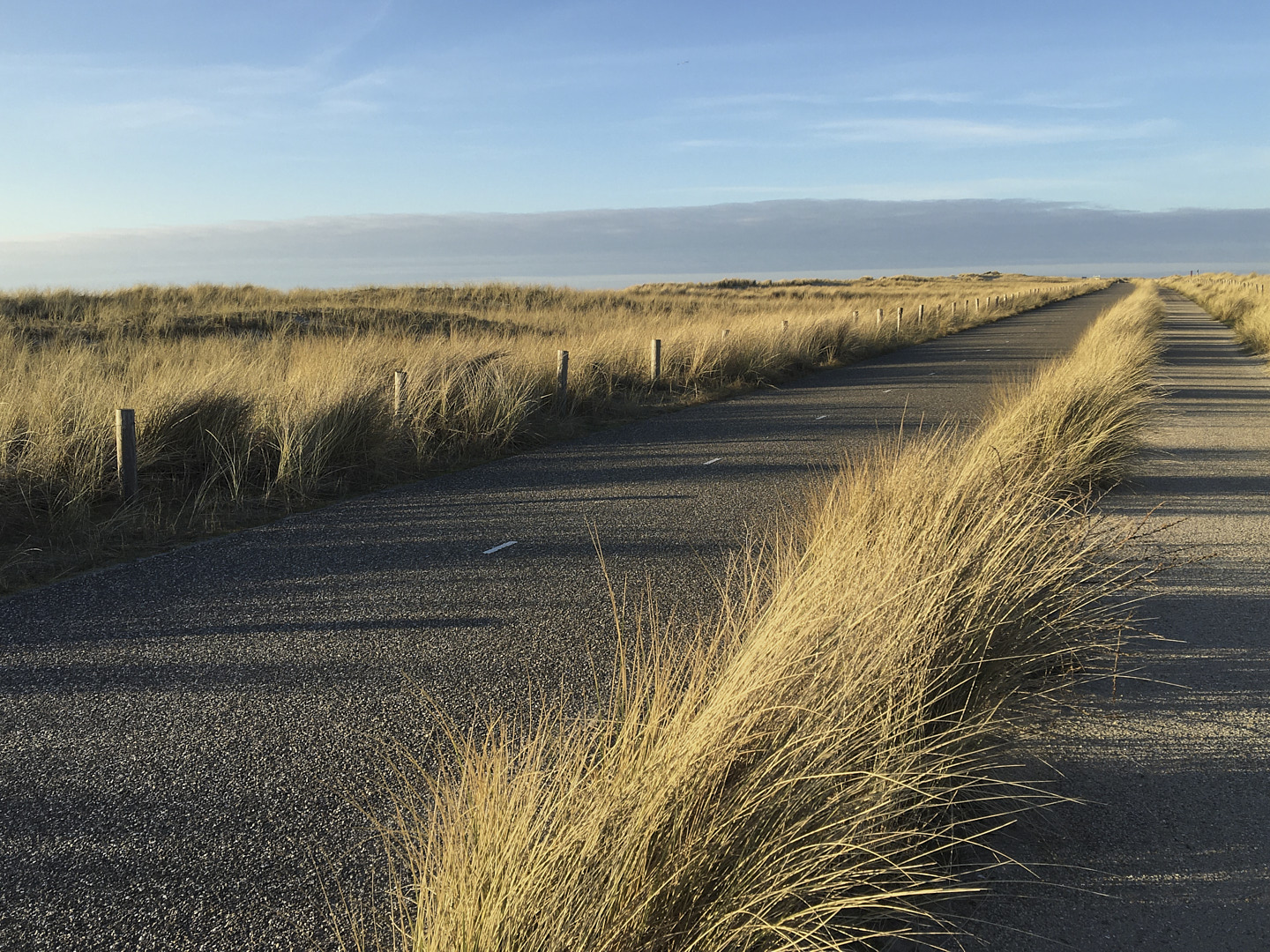 Petten-09