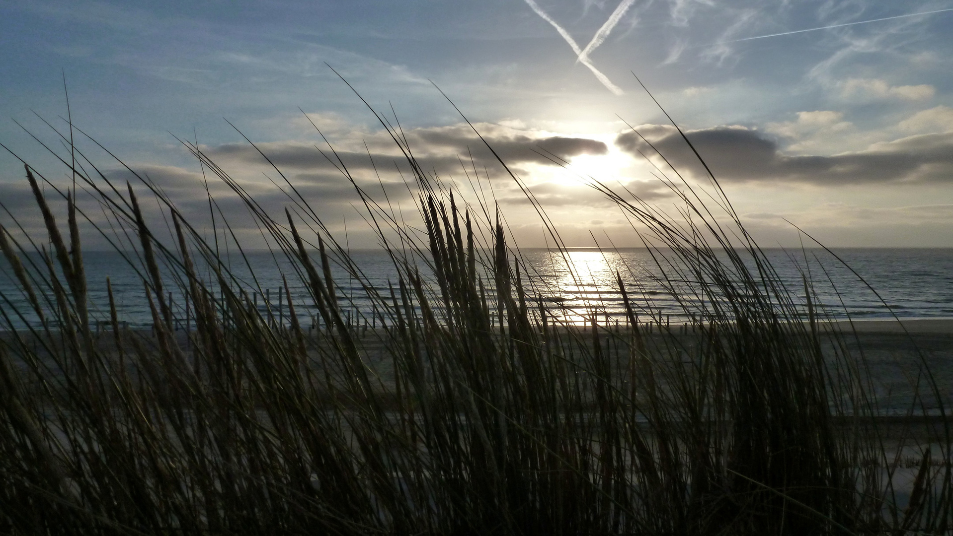 Petten 3