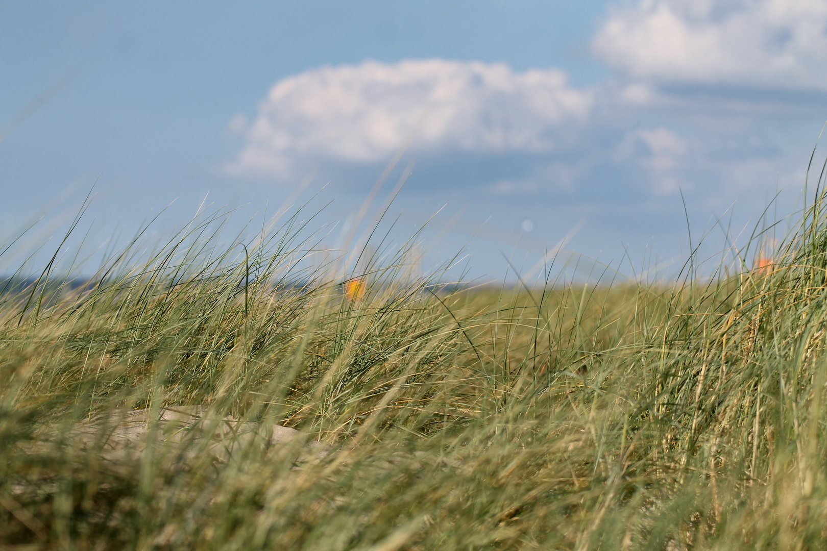 #Petten