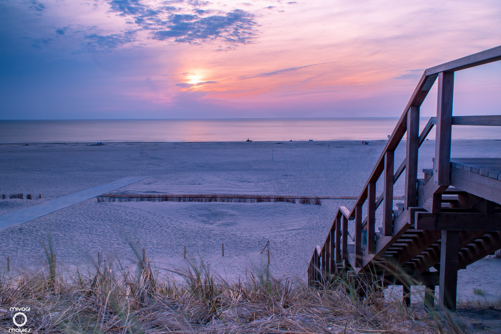 petten dawn