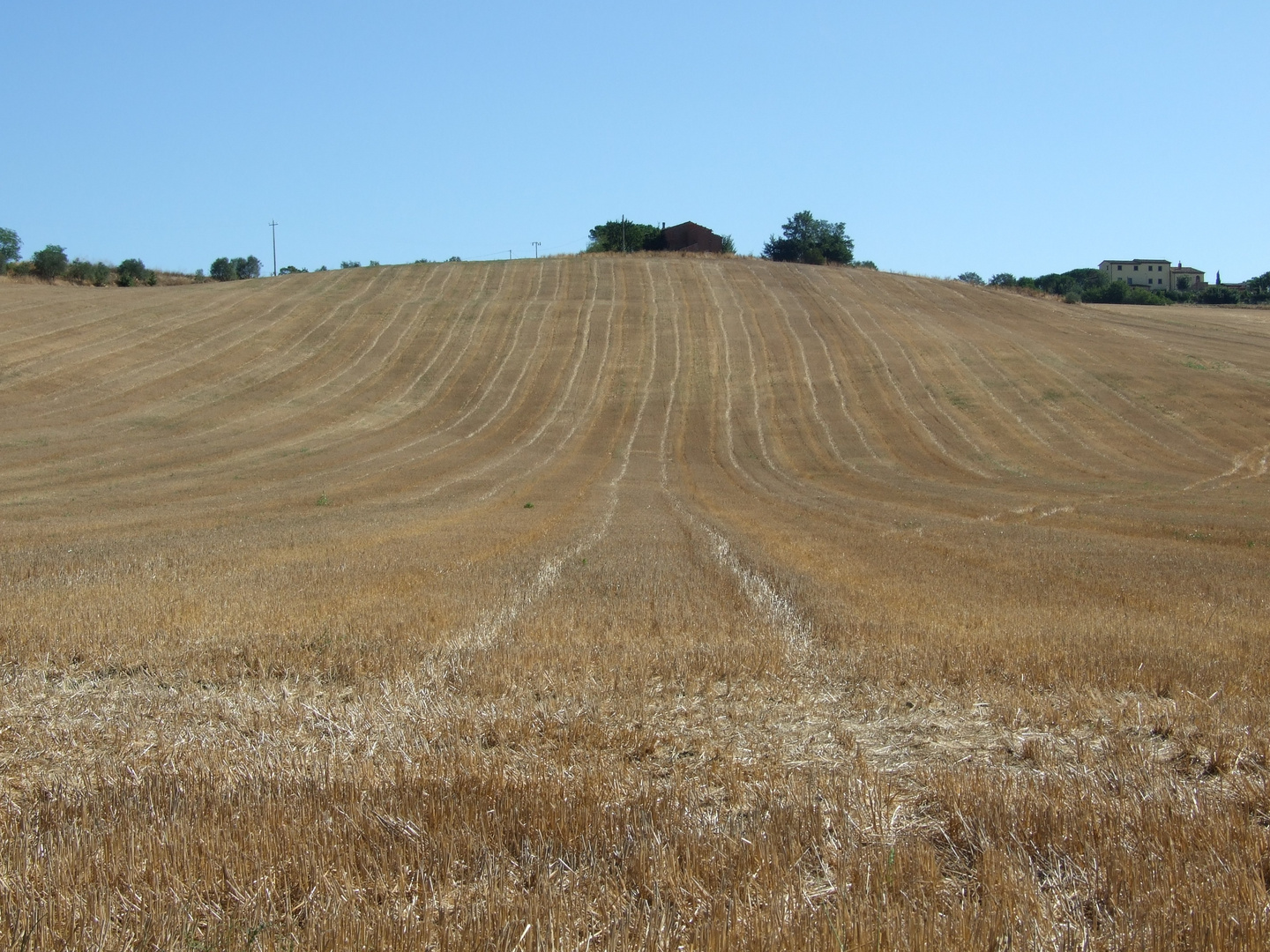 Pettinata così!