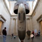 Petting the Harrier