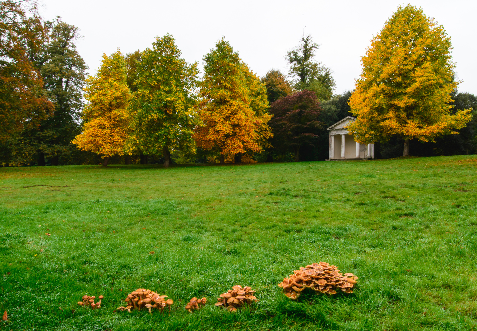 [ Petworth House Gardens ]