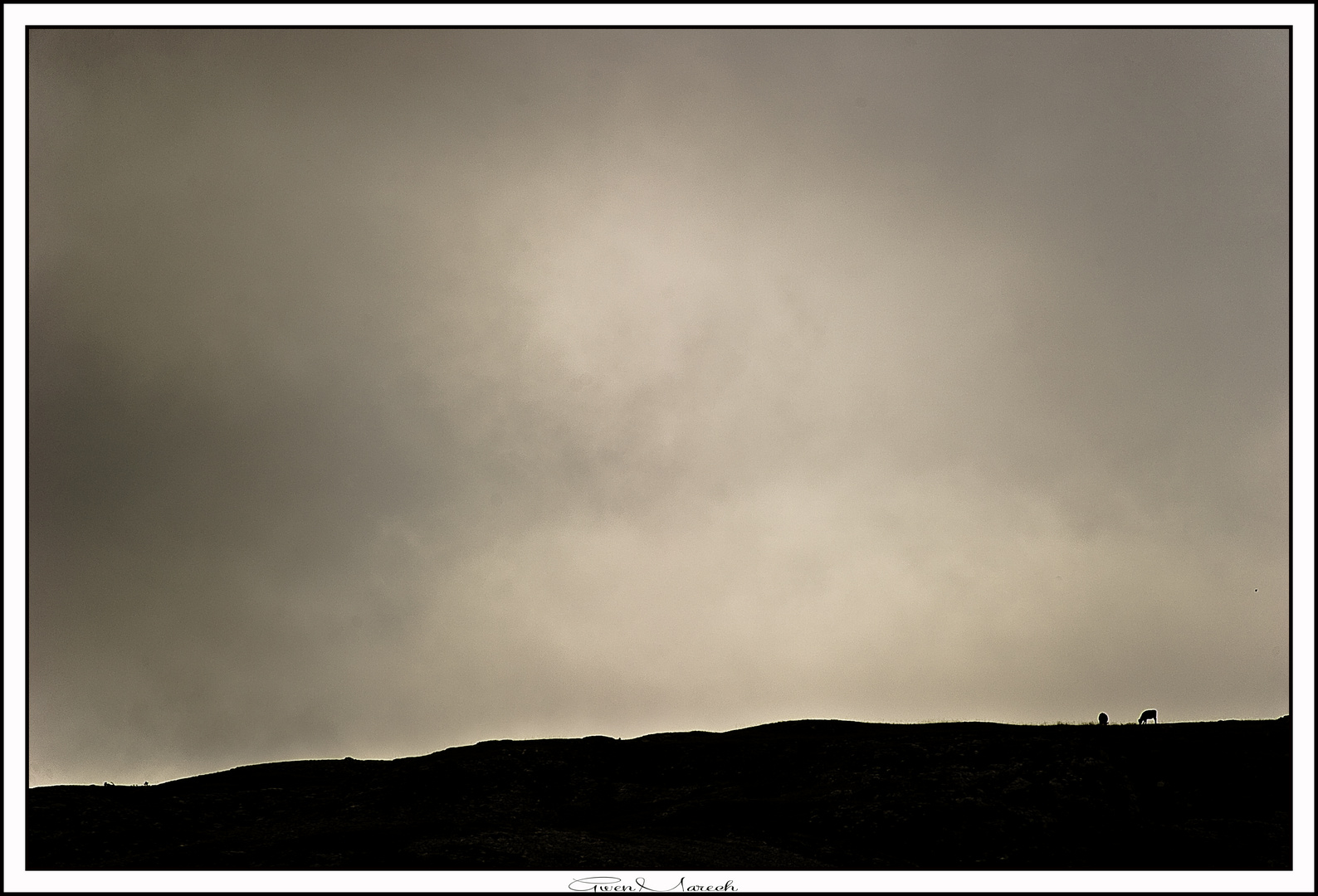 peu avant l'orage