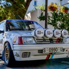 Peugeot 205 Rallye