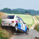 Peugeot 205 Rallye!!!!! Vol. 2...