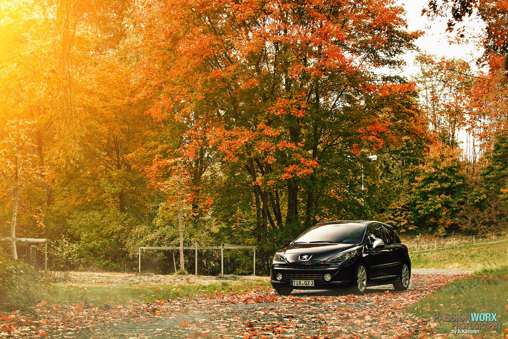 Peugeot 207 RC Herbststimmung