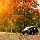 Peugeot 207 RC Herbststimmung