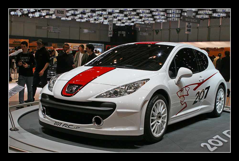 Peugeot 207 RCup Concept