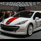 Peugeot 207 RCup Concept