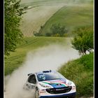 Peugeot 207 S200 - Andreucci-Andreussi