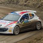 Peugeot 207 S2000 - Jännerrallye 2014