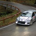 Peugeot 207 wrc