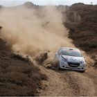 Peugeot 208 R2