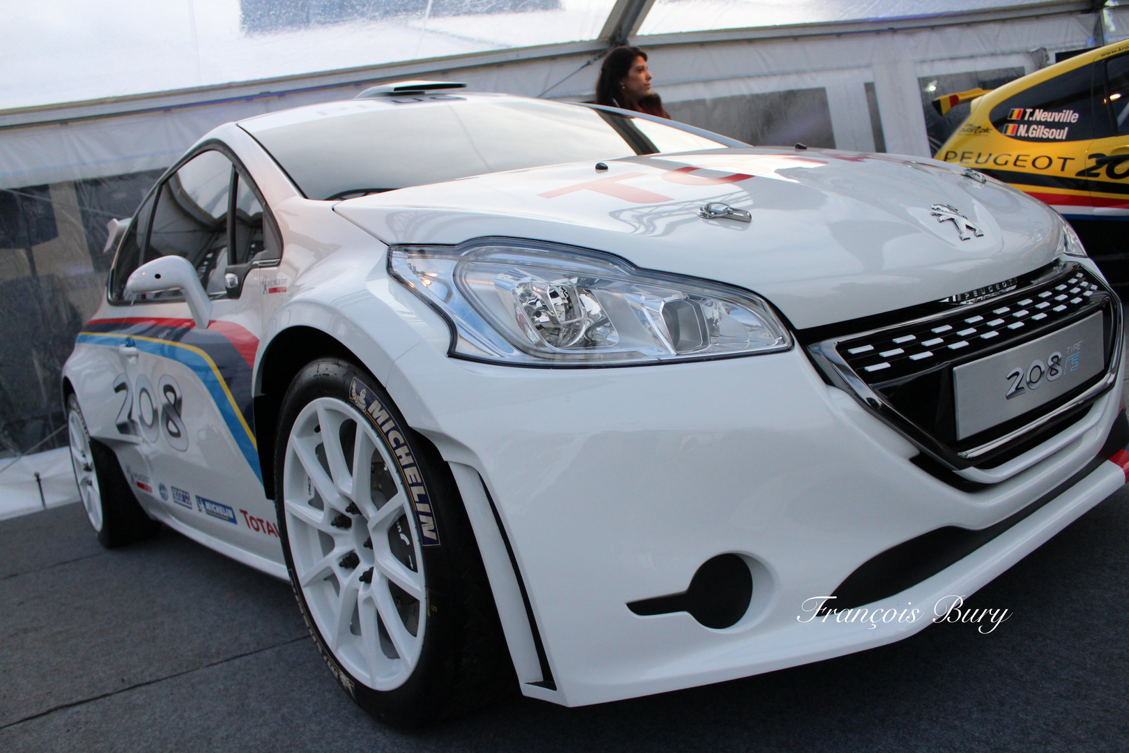 Peugeot 208 R5