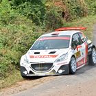 Peugeot 208 T16 R5 