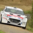 Peugeot 208 T16 R5 